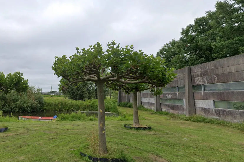 Screenshot_20250712_143233