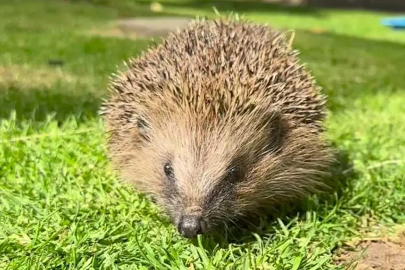 Screenshot_20250714_123537