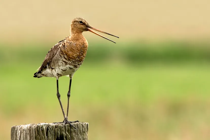 Screenshot_20250717_153848