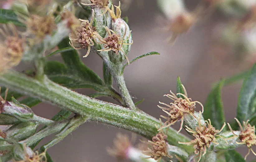 Screenshot_20250721_170445