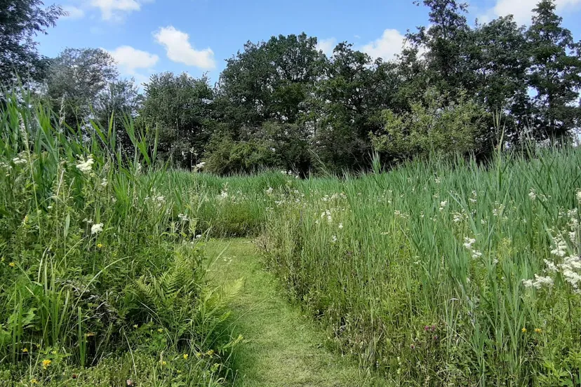 Screenshot_20250723_160316