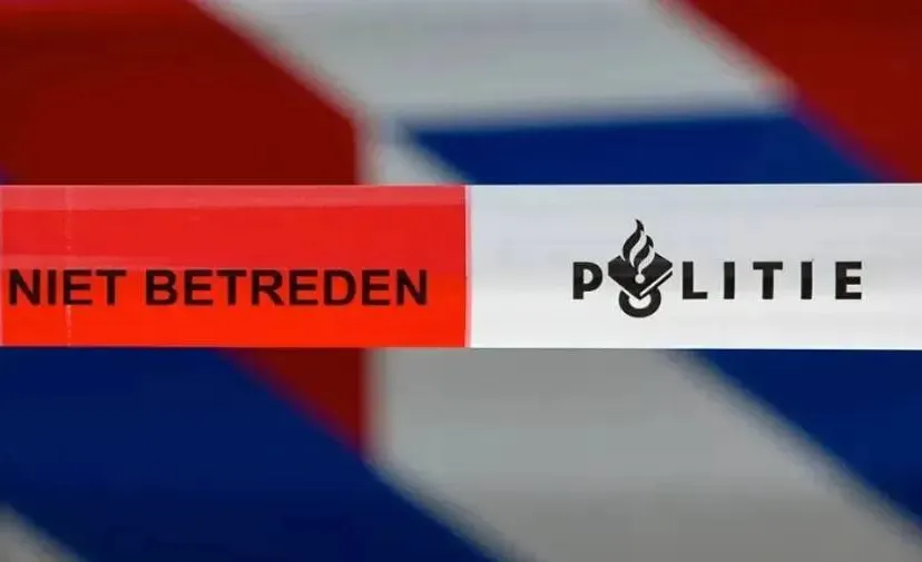 screenshot-20241012-111932-670a3ef8267ea-688e2cf3c6563 (1)