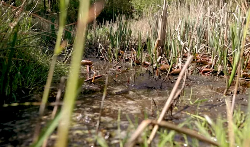 Screenshot_20250807_151155