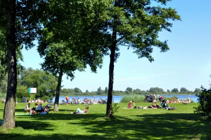 Screenshot_20250811_132146