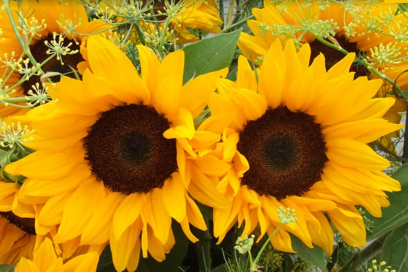 Screenshot_20250824_100022