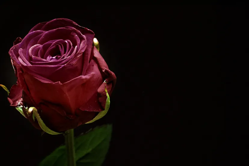 Screenshot_20250829_104538