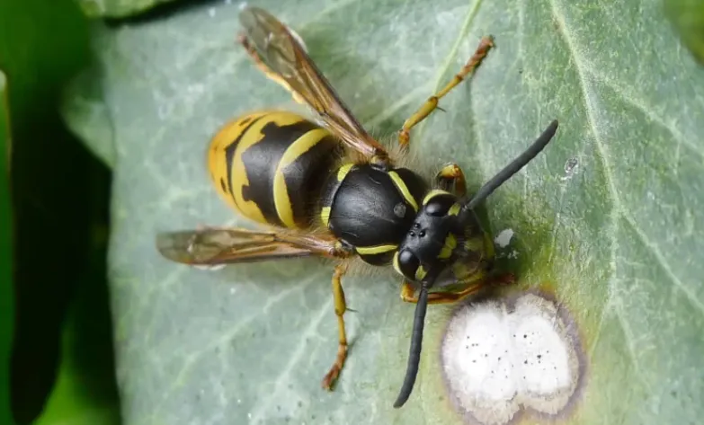 Screenshot_20250831_123040