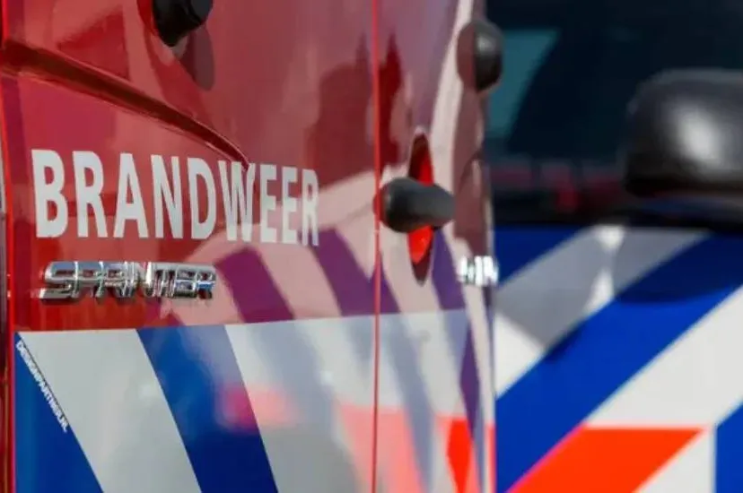 screenshot-20250527-130413-68359bb69748a (1)