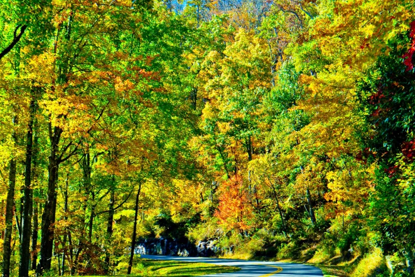 Screenshot_20250901_115934