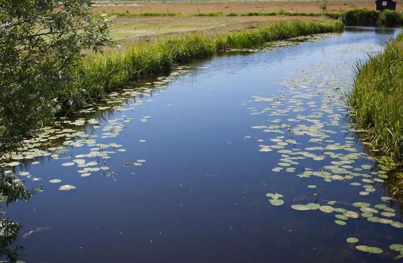 Screenshot_20250903_115212