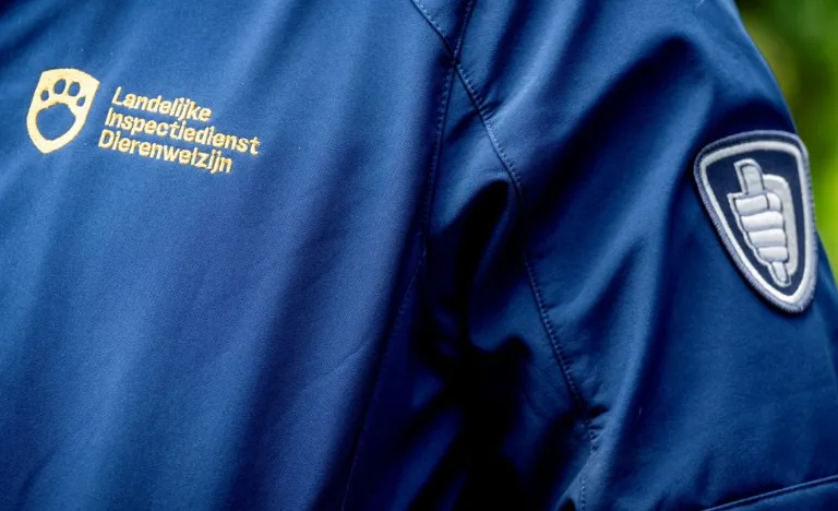 Screenshot_20250918_142722