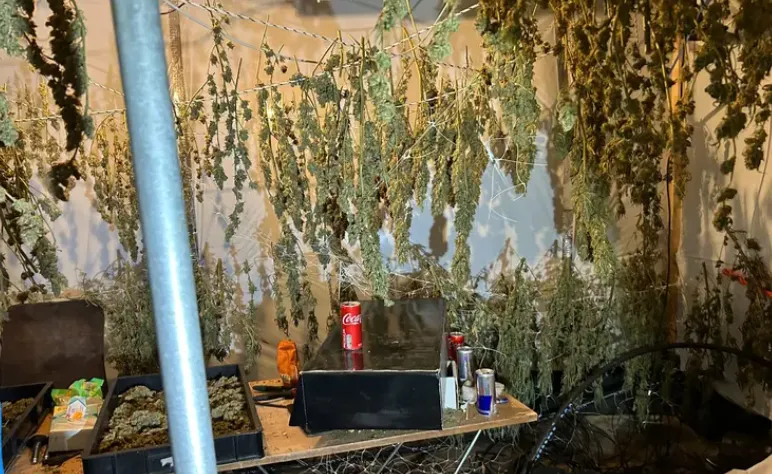 Screenshot_20250918_154027