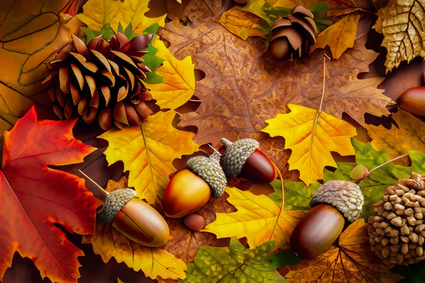 Screenshot_20250921_170737