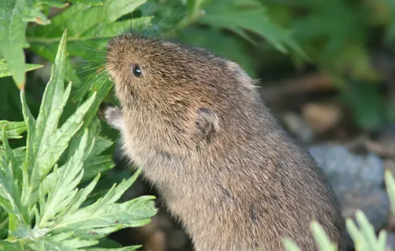 Screenshot_20250926_153446