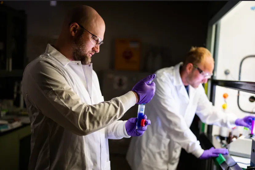 Screenshot_20250929_135747