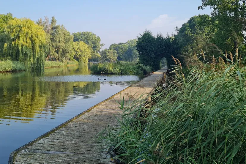 Screenshot_20251004_143452