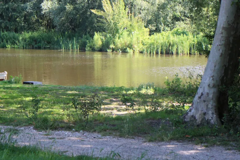 Screenshot_20251013_130102