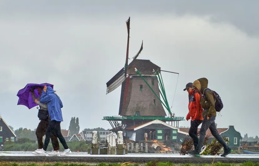 Screenshot_20251015_154220