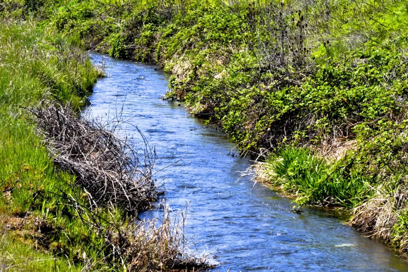 Screenshot_20251016_113924