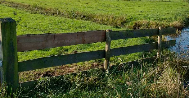 Screenshot_20251020_113746