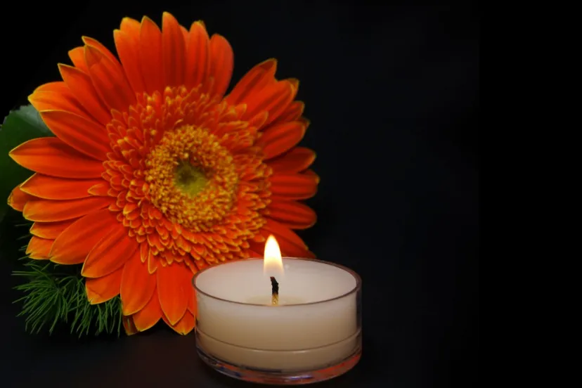 Screenshot_20251024_153142