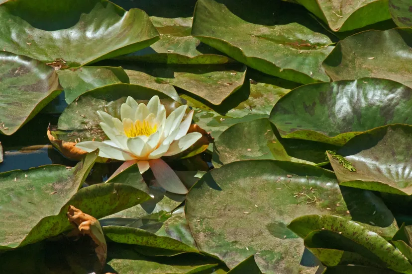 Screenshot_20251026_130745