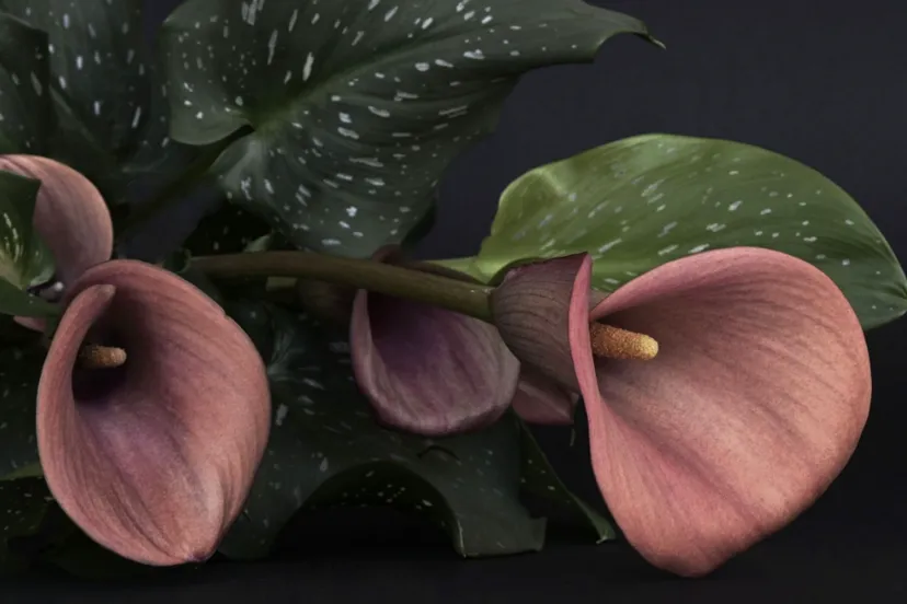 Screenshot_20251028_132015