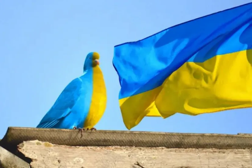 screenshot-20220423-090342