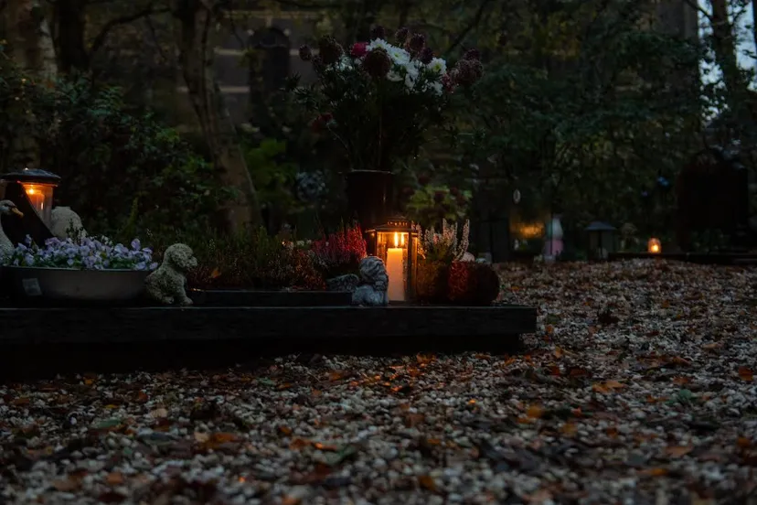 Screenshot_20251102_114139