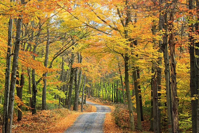 Screenshot_20251109_143456