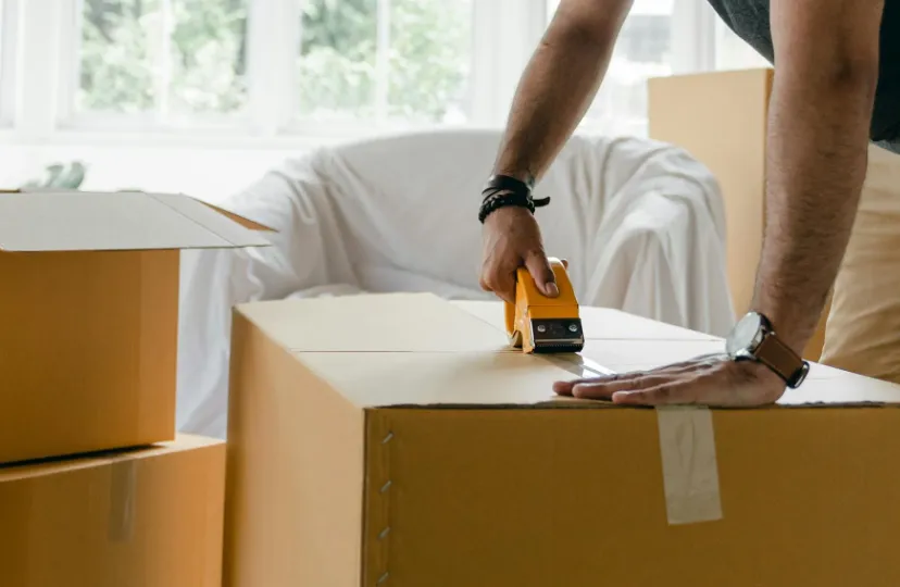 Screenshot_20251111_110326