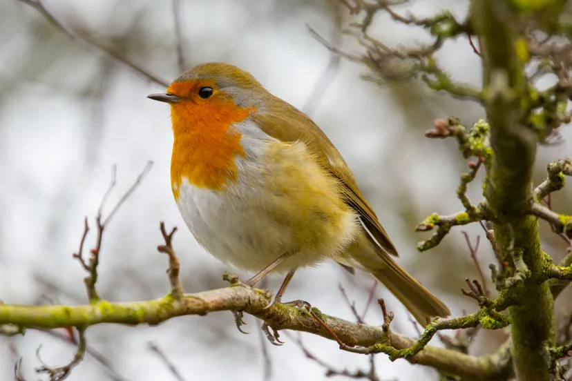 Screenshot_20251122_143845