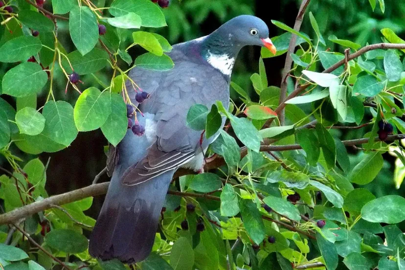 Screenshot_20251124_155455