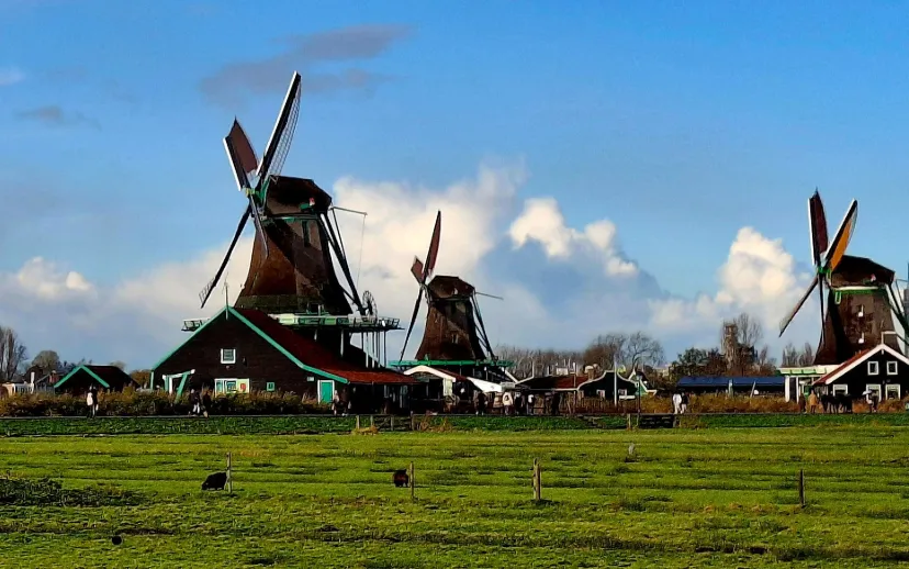 Screenshot_20251125_133059