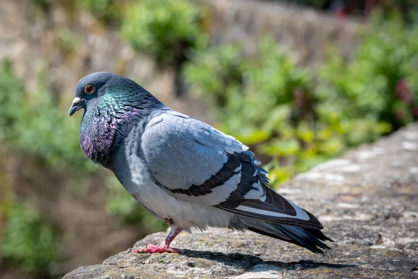 Screenshot_20251127_115912