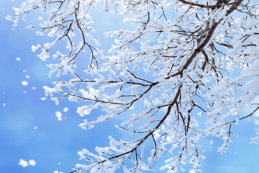 Screenshot_20251130_130139