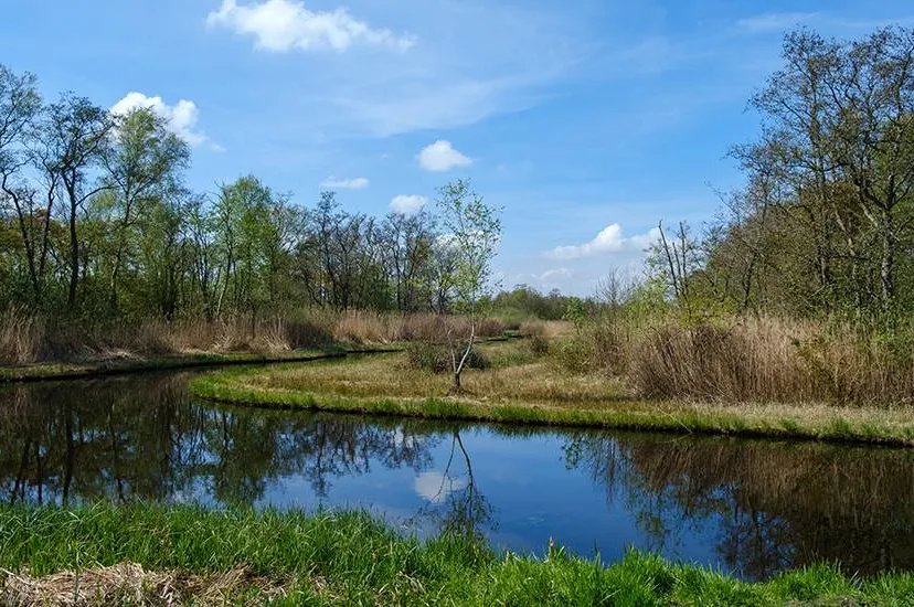 Versnelling aanleg natuur in vijf gebieden provincie zet weer stap vooruit