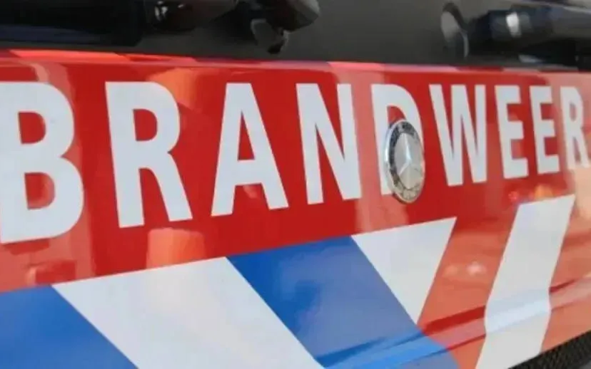 screenshot-20220803-121019-915x518-1-915x518-1-6731f70a93a17jpg-67d430cb5b60e-1jpg-681f9bff22da9-68ef5f8608a19