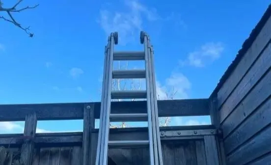 screenshot-20240118-113202