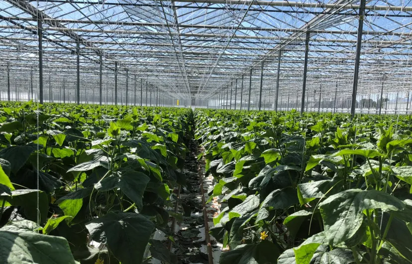 Screenshot_20251201_123228