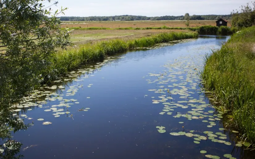 Screenshot_20251218_165302