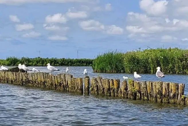 Screenshot_20251222_135730