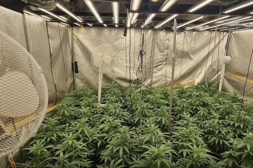 Screenshot_20251229_101735