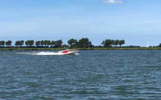 screenshot-20250203-110154-67a09694afa7e