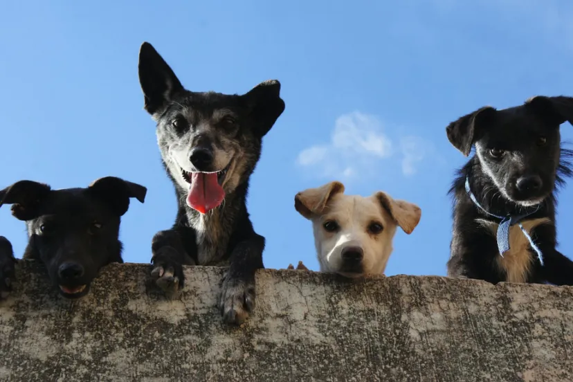 Screenshot_20260105_141729