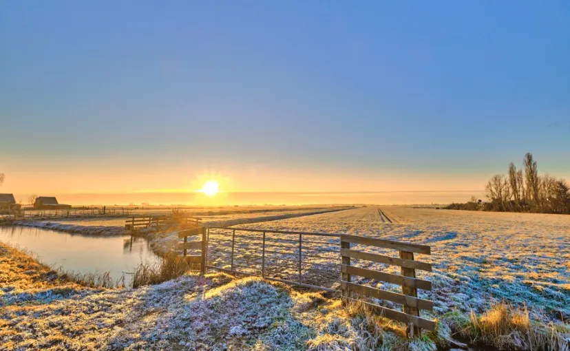 Screenshot_20260111_155836