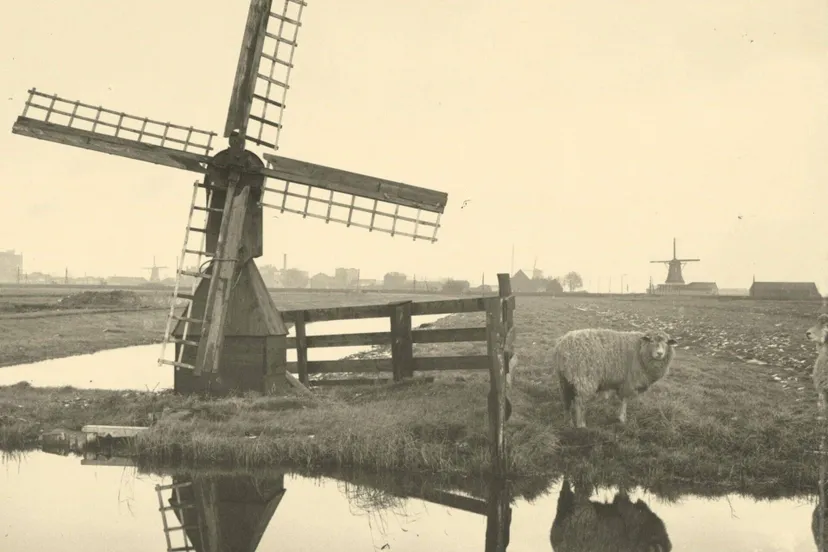 weidemolen-in-Guisveld-scaled-2560x1280