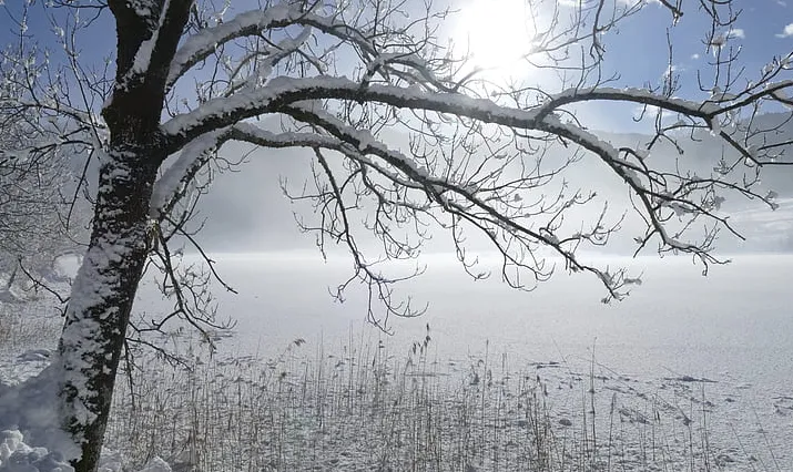 Screenshot_20260201_111652