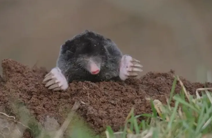 Screenshot_20260207_095935