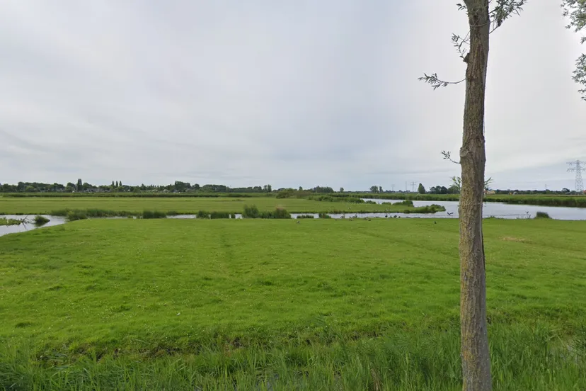 Screenshot_20260209_115557